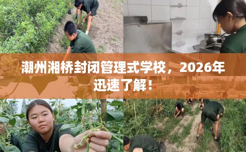 潮州湘桥封闭管理式学校，2026年迅速了解！