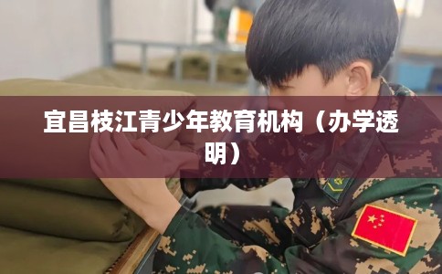 宜昌枝江青少年教育机构（办学透明）