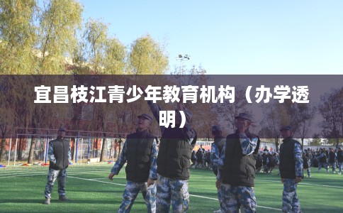 宜昌枝江青少年教育机构（办学透明）