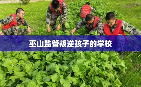 巫山监管叛逆孩子的学校