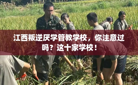 江西叛逆厌学管教学校，你注意过吗？这十家学校！