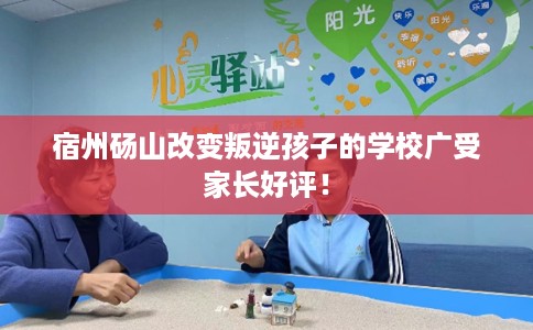 宿州砀山改变叛逆孩子的学校广受家长好评！