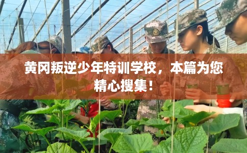 黄冈叛逆少年特训学校，本篇为您精心搜集！