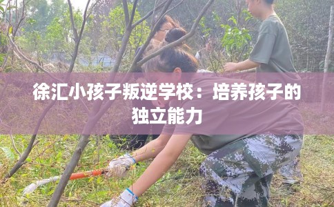 徐汇小孩子叛逆学校:培养孩子的独立能力 徐汇小孩子叛逆学校:培养孩子的独立能力