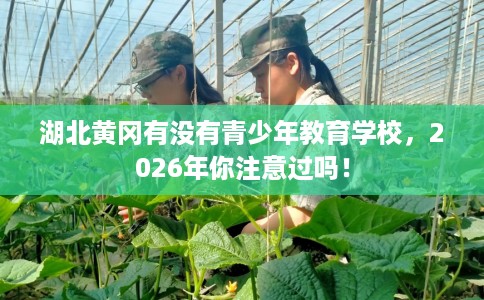 湖北黄冈有没有青少年教育学校，2026年你注意过吗！