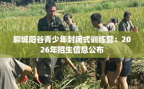 聊城阳谷青少年封闭式训练营：2026年招生信息公布