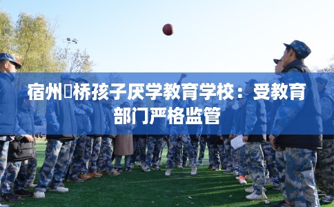 宿州埇桥孩子厌学教育学校：受教育部门严格监管