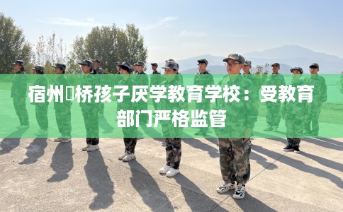 宿州埇桥孩子厌学教育学校：受教育部门严格监管