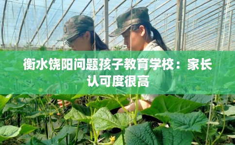 衡水饶阳问题孩子教育学校：家长认可度很高