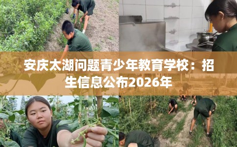 安庆太湖问题青少年教育学校：招生信息公布2026年