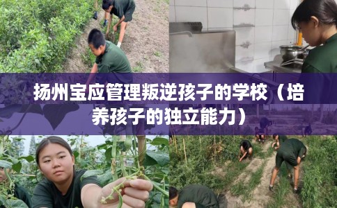 扬州宝应管理叛逆孩子的学校（培养孩子的独立能力）