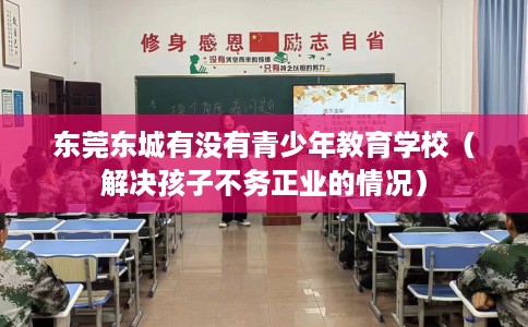 东莞东城有没有青少年教育学校（解决孩子不务正业的情况）