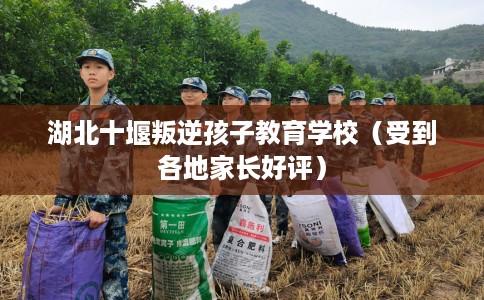 湖北十堰叛逆孩子教育学校(受到各地家长好评) 湖北十堰叛逆孩子教育学校(受到各地家长好评)