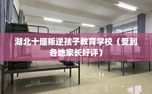 湖北十堰叛逆孩子教育学校(受到各地家长好评) 湖北十堰叛逆孩子教育学校(受到各地家长好评)