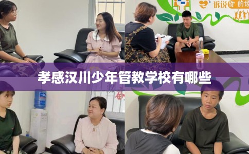 孝感汉川少年管教学校有哪些