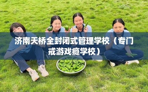 济南天桥全封闭式管理学校（专门戒游戏瘾学校）