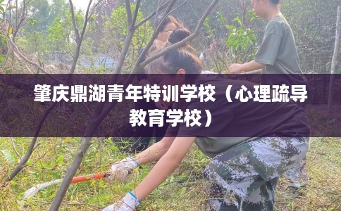 肇庆鼎湖青年特训学校（心理疏导教育学校）