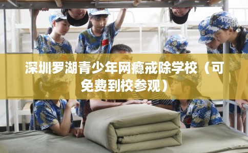 深圳罗湖青少年网瘾戒除学校（可免费到校参观）