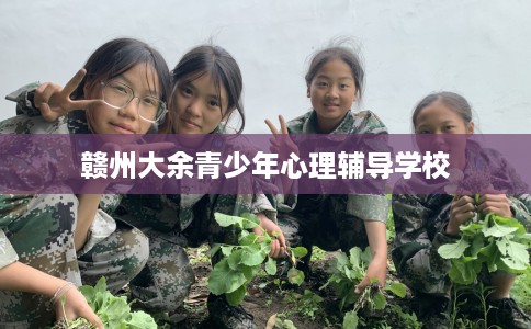 赣州大余青少年心理辅导学校