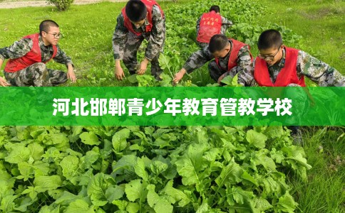 河北邯郸青少年教育管教学校