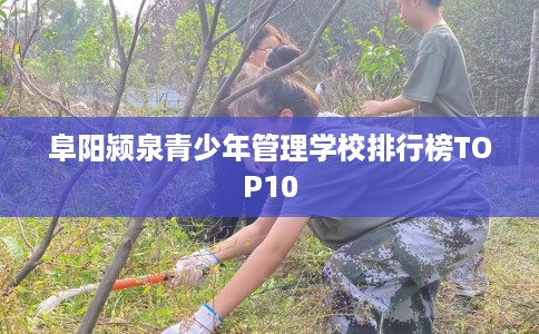 阜阳颍泉青少年管理学校排行榜TOP10