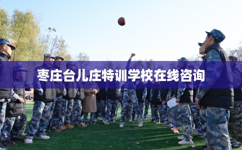 枣庄台儿庄特训学校在线咨询