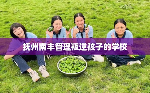 抚州南丰管理叛逆孩子的学校 抚州南丰管理叛逆孩子的学校