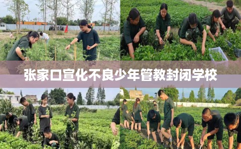 张家口宣化不良少年管教封闭学校