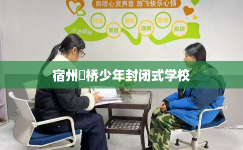 宿州埇桥少年封闭式学校 宿州埇桥少年封闭式学校