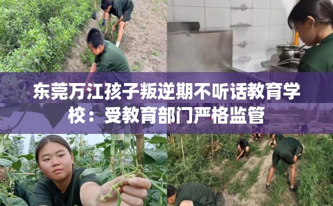 东莞万江孩子叛逆期不听话教育学校：受教育部门严格监管