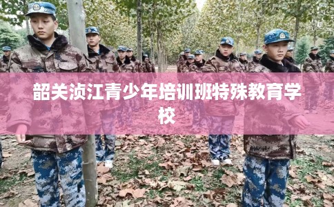 韶关浈江青少年培训班特殊教育学校