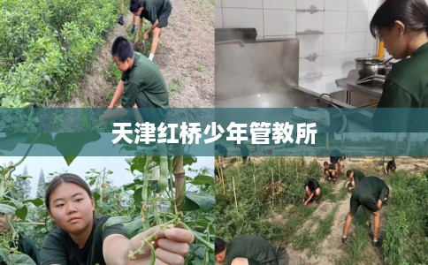 天津红桥少年管教所