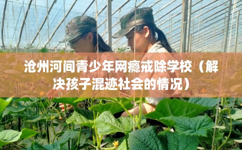 沧州河间青少年网瘾戒除学校（解决孩子混迹社会的情况）