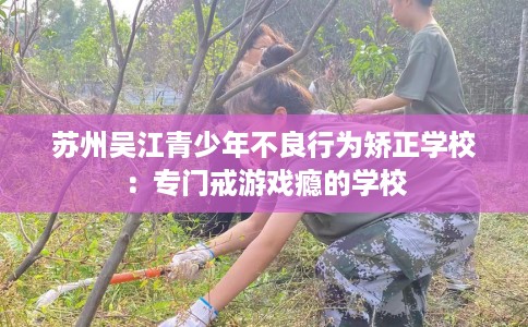 苏州吴江青少年不良行为矫正学校：专门戒游戏瘾的学校