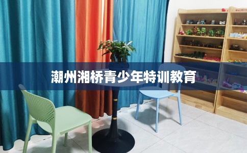 潮州湘桥青少年特训教育
