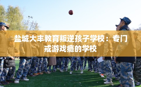 盐城大丰教育叛逆孩子学校：专门戒游戏瘾的学校