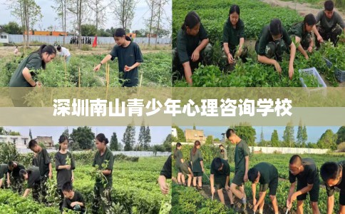 深圳南山青少年心理咨询学校 深圳南山青少年心理咨询学校