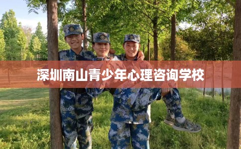 深圳南山青少年心理咨询学校 深圳南山青少年心理咨询学校