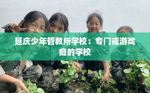 延庆少年管教所学校：专门戒游戏瘾的学校