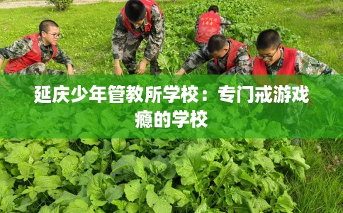 延庆少年管教所学校：专门戒游戏瘾的学校