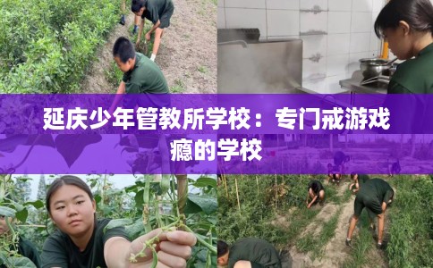 延庆少年管教所学校：专门戒游戏瘾的学校