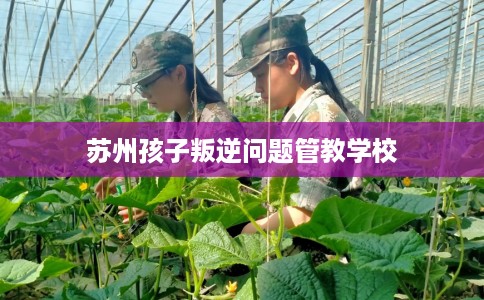 苏州孩子叛逆问题管教学校