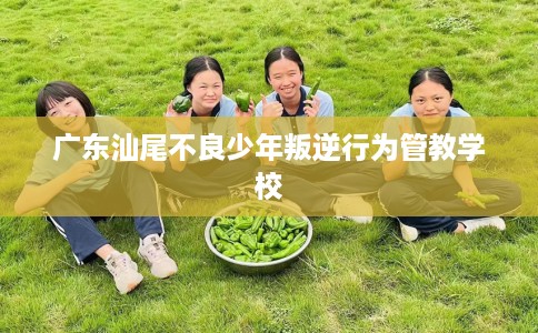 广东汕尾不良少年叛逆行为管教学校