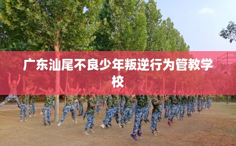 广东汕尾不良少年叛逆行为管教学校