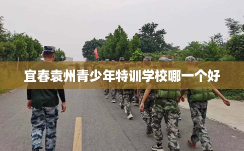 宜春袁州青少年特训学校哪一个好