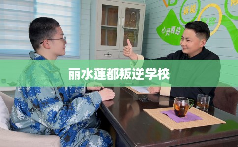 丽水莲都叛逆学校