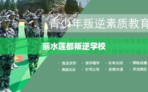 丽水莲都叛逆学校