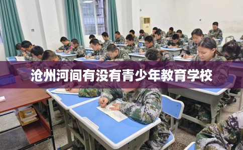 沧州河间有没有青少年教育学校