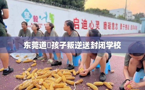 东莞道滘孩子叛逆送封闭学校