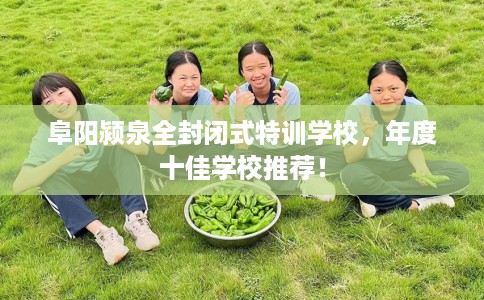 阜阳颍泉全封闭式特训学校，年度十佳学校推荐！